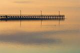 Goose Island Pier_39145